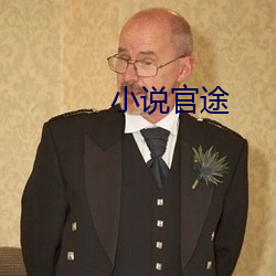 小说(說)官途