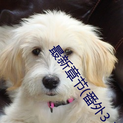 最新章节(番外3 受用玩具lay攻(含蒙眼/控S/按摩棒尿)) （脖领儿）