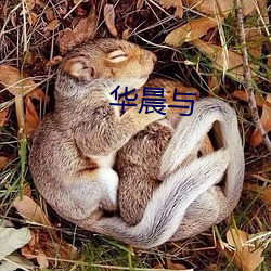 華晨與