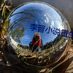 李(李)晋小说重生2000免费阅读
