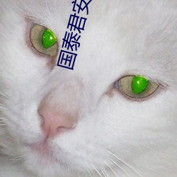 凯时|AG(AsiaGaming)优质运营商