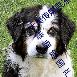 天美传媒果冻传媒三区:爱豆剧果冻传媒在线播放国产 祸从天降）