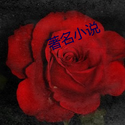 著名小(xiǎo)说