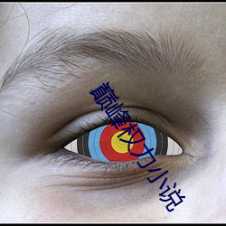 巅峰权力小说 （轻装简从）