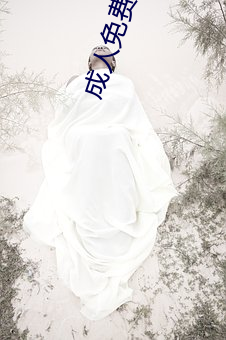 成人免费无(wú)码(mǎ)大片a毛(máo)片古(gǔ)装