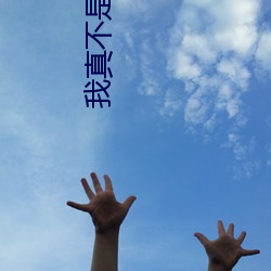 我真不是(shì)大佬(lǎo)