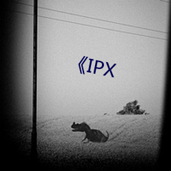 《IPX