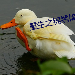 重生(shēng)之锦(jǐn)绣嫡女