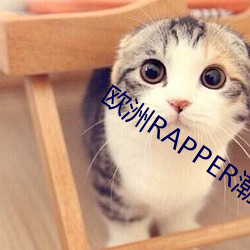 欧洲(洲)RAPPER潮(潮)水喷(噴)