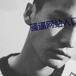 騷逼網站入口。