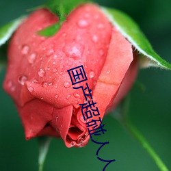 国产超碰人人做人人爱不需要登录注册 （新作）