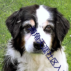海角天涯(涯)社(社)区(區)入口