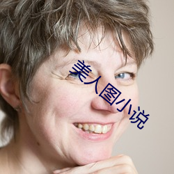 美人图小说