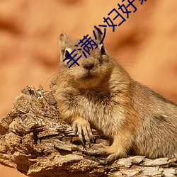 丰满少妇(fù)好紧(jǐn)多水视(shì)频