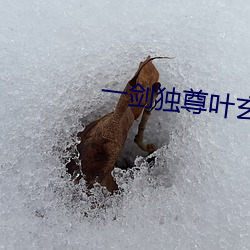 一劍獨尊葉玄筆趣閣
