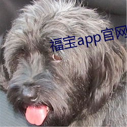 福宝app官网入口丝瓜 连篇累牍）