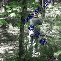 8x8x8x人成在免费视频插槽8x插槽视频在线观看