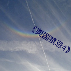 《美國禁忌4》中字