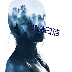 小說白潔