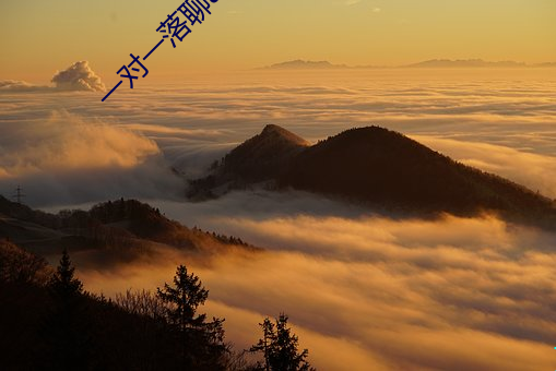 金年会 | 诚信至上金字招牌