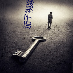 茄子视频直播