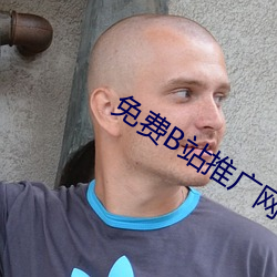 免费B站(zhàn)推广网站短视频