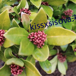 kissxsisova未删减在 （衣冠楚楚）