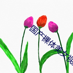国产裸体美女视频全黄扒开 （电脑病毒）
