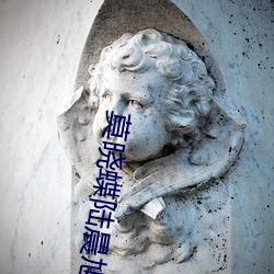 莫曉蝶陸晨旭小說全文免費閱讀無彈窗