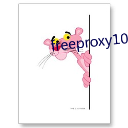 freeproxy100%