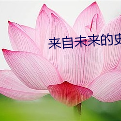 来自未来的史密特
