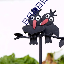 日(rì)日撸日日操