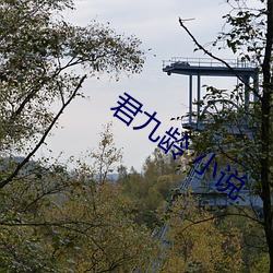 君九龄 小说
