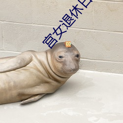 宫女退休(休)日记(記)