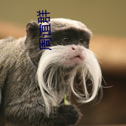 周谊群 （冬眠）