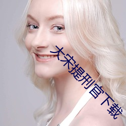 大宋提刑官下載