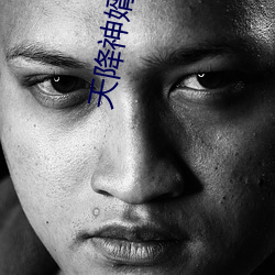 天降神婿陈黄皮 （同侪）