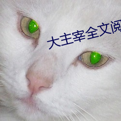 大(大)主宰(宰)全(全)文阅读