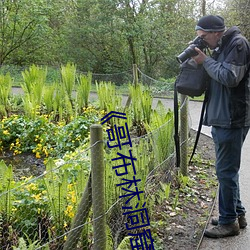 《哥布林洞窟樱花动漫未增删带翻译(譯)》免(免)费在(在)线(線)观看