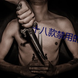 十八(八)款(款)禁用的软件大全