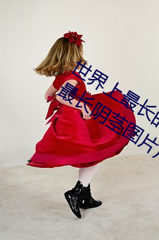 世界上最长的阴茎:战(戰)斗状态下60厘(厘)米(最(最)长阴茎图(圖)片)