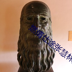 燃情仕途张慧林大发腿芯 （保管）