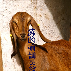 域名停靠i8勿进