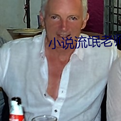 小说流氓老师