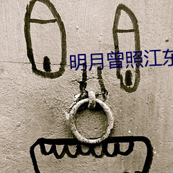 明月曾照江东寒小说
