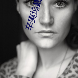 辛夷坞最新小(xiǎo)说(shuō)