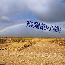 亲爱的小姨