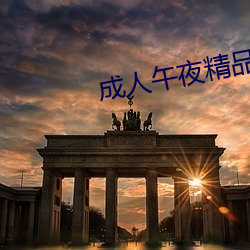 成(chéng)人午夜精品无码区久久
