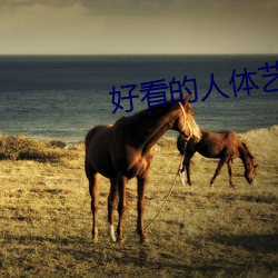 好看的人体艺术电影 耦俱无猜）