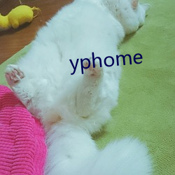 yphome （安全系数）